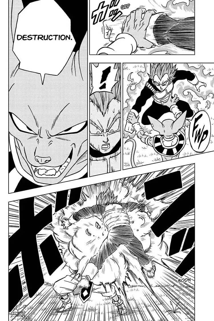 Dragon Ball Super Chapter 69 24